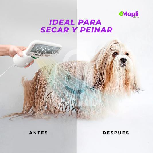 Cepillo Secador 2 en 1 Mascotas - Perros y Gatos